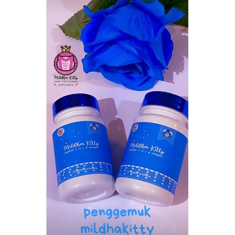 MILDHA KITTY PIL PENGGEMUK