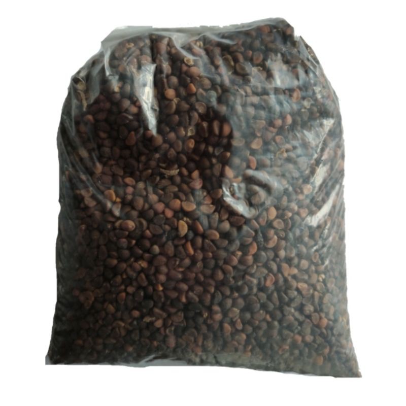 benih kangkung lokal kota batu - benih kangkung unggul - 500 gram