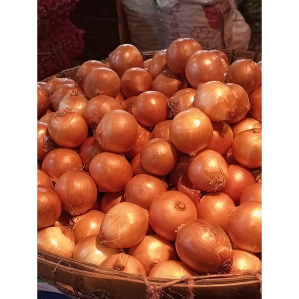 

Bawang bombay / bawang / bawang bombay / bawang murah / bawang brebes / bombay murah