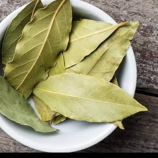 

:::::::] Bay leaf Indi or daun salam kari( 1 kg)