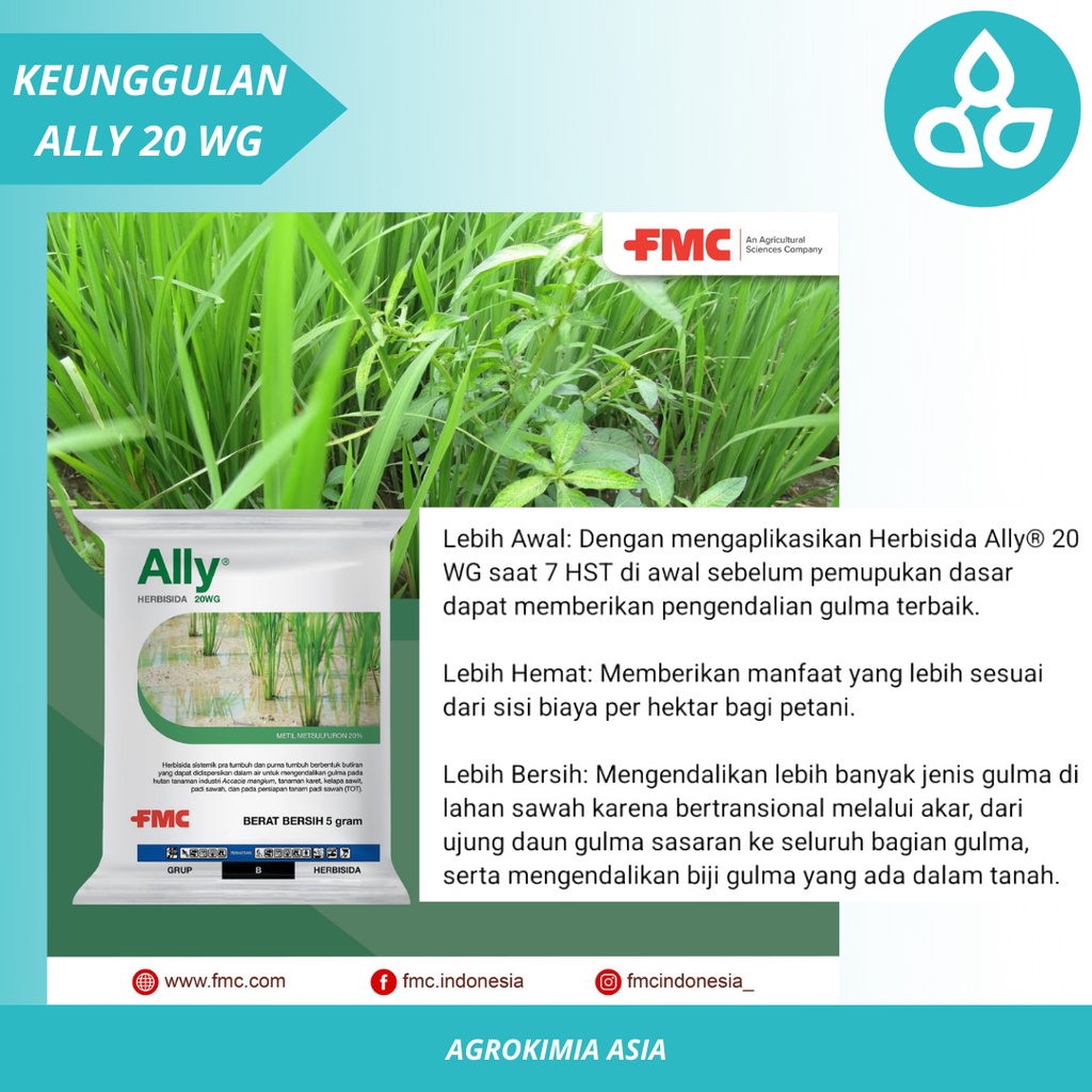 Herbisida Ally 20 WP Basmi Gulma Padi Kemasan 5 Gram