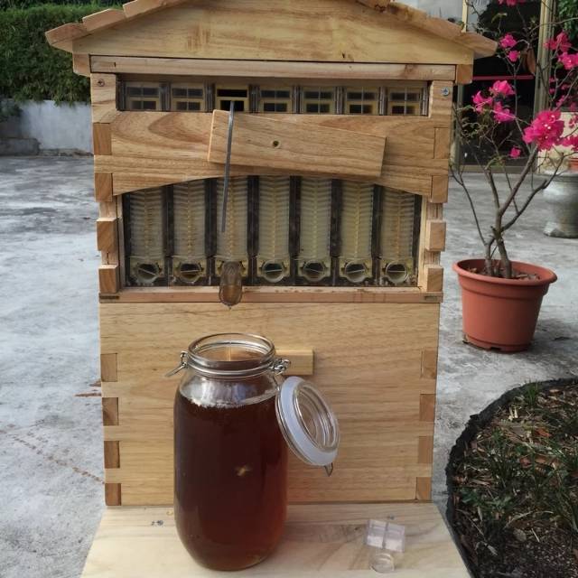 FLOW HIVE HONEY  BEE HIVE premium promo