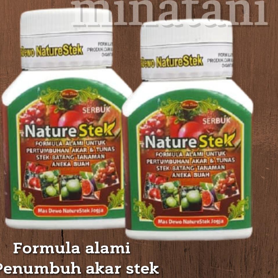 6PY PERANGSANG AKAR BATANG STEK-NATURE STEK 100 GRAM IV Bestseller｀
