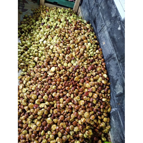 

Jengkol Tua mentah 1 Kg (1000 gram) Aditya-story