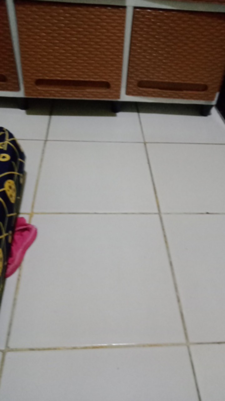 Claris 2701 Tempat Kotak Makan Lunch Box Plastik Bulat Dengan Sekat Round Food Saver