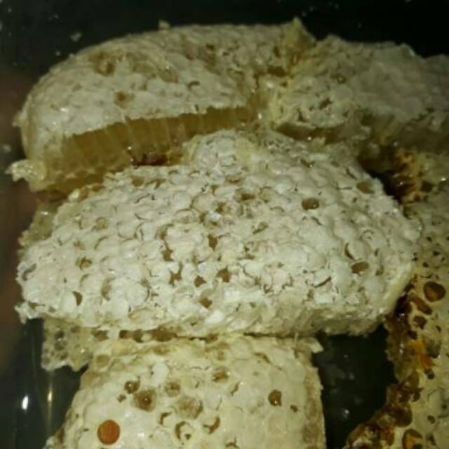 

Madu NHC Center (Belum diperas)