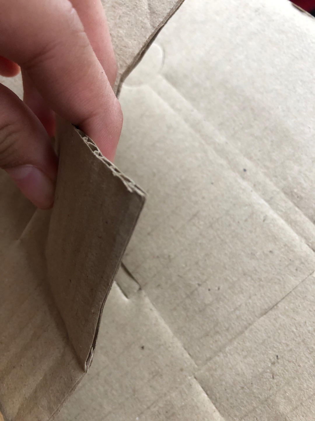 20x20x5 Allmed Box Pizza Kotak Kemasan Kotak Kemeja Kue Brownies