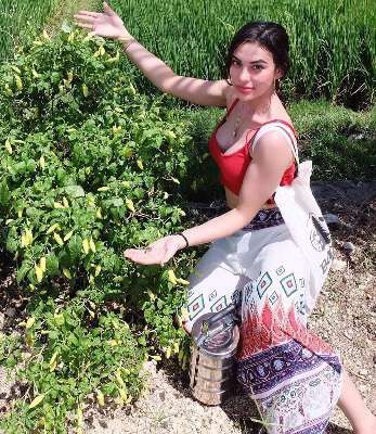 Virtako 300sc 10ml Sachet Insektisida Obat Pembasmi Wereng Dan Ulat Tanaman