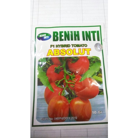 Benih Tomat Hibrida ABSOLUT 10 gr dar BENIH INTI