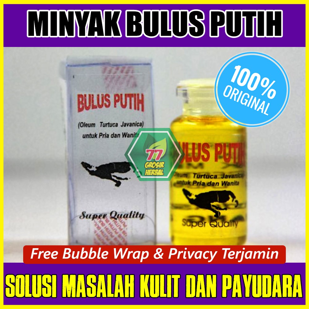 Dijual Minyak Bulus Putih Pd Eyang Laut Pembesar Payudara