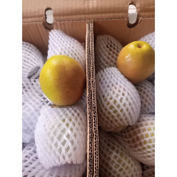 

Pear xianglie manis