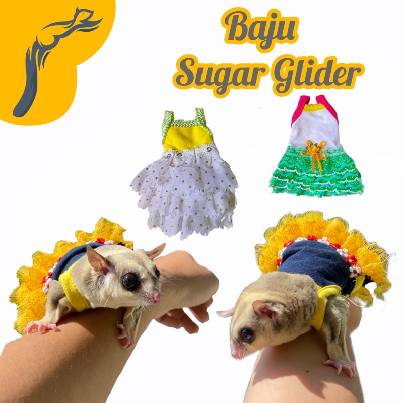 BAJU SUGAR GLIDER BETINA DRESS SUGAR GLIDER BETINA TOPI SUGAR GLIDER BAJU HAMSTER