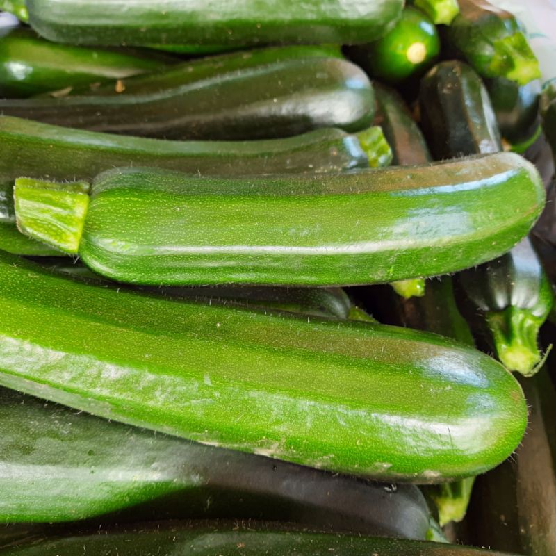 

Zucchini organik 500gram