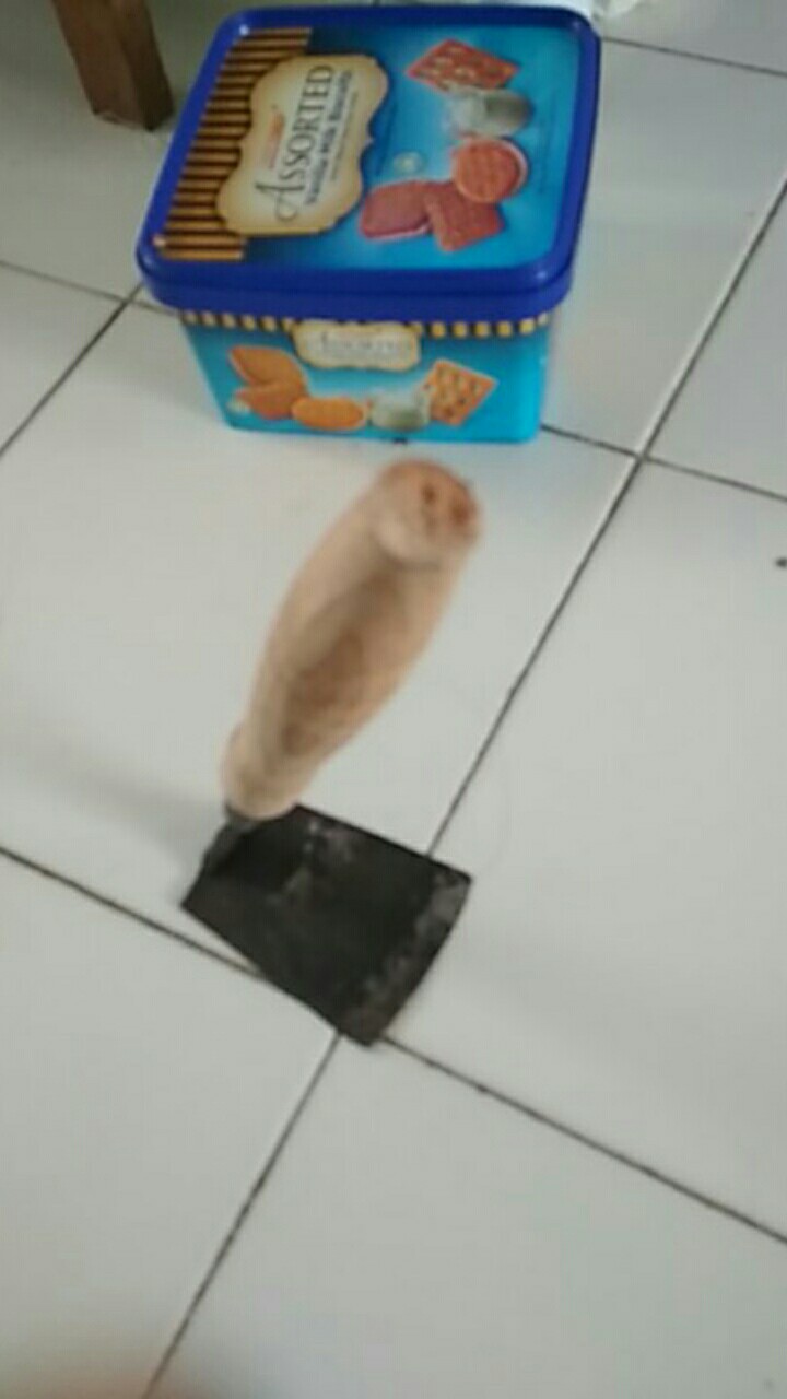 Grosir!! Pisau Buah Murah Bahan Baja | Pisau Dapur Mini | Pisau Rajang Sayuran