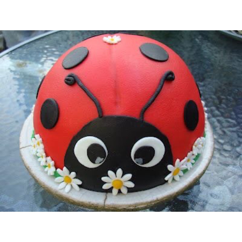 

Pinata cake coklat ladybug isi permen dan coklat ulang tahun anak