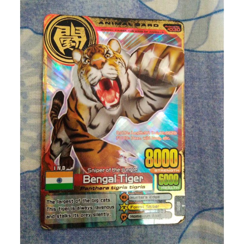 Animal Kaiser Borongan