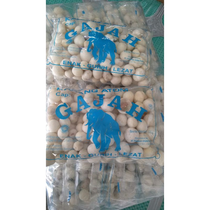 

Kacang atom gajah 120g