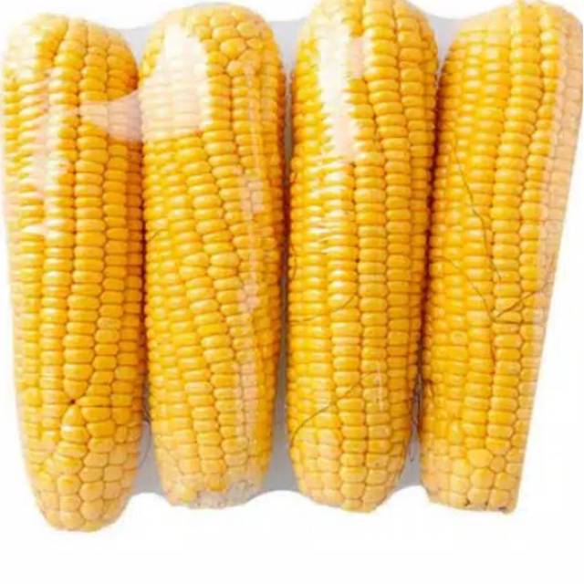 

Jagung Manis