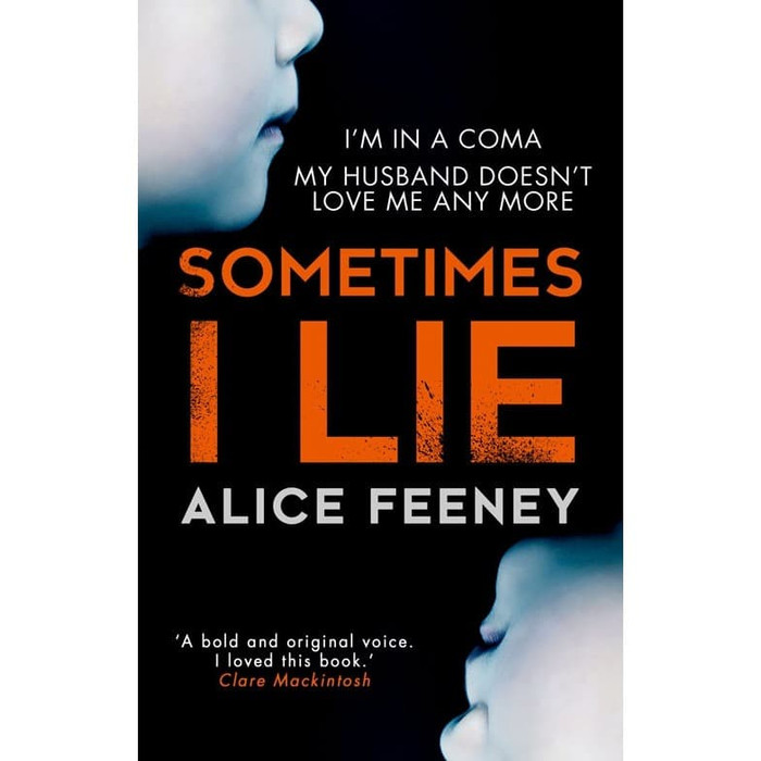 Novel Buku - Sometimes I Lie by Feeney Alice