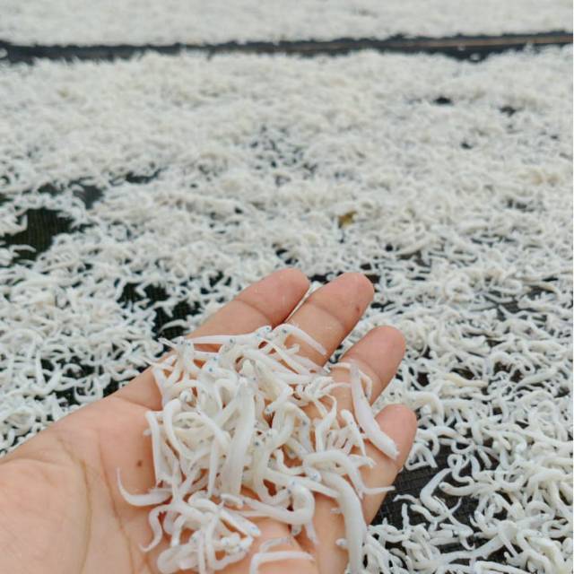 

Teri nasi atau teri medan,35000 per 250 grm