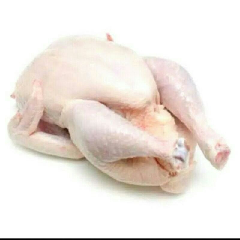 

AYAM BROILER UTUH / AYAM POTONG SEGAR 1KG