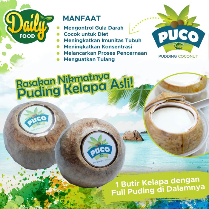 PUDING KELAPA ASLI PUCO PUDDING COCONUT DAILY FOOD