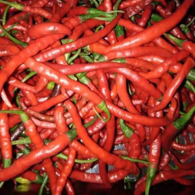 

Cabe Merah 250Gram