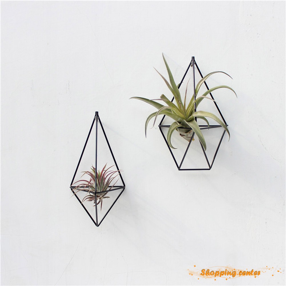 Sc Wall Mounted Air Plants Holder Irregular Geometric Metal Hanging Rack For Branch Eave Ceiling