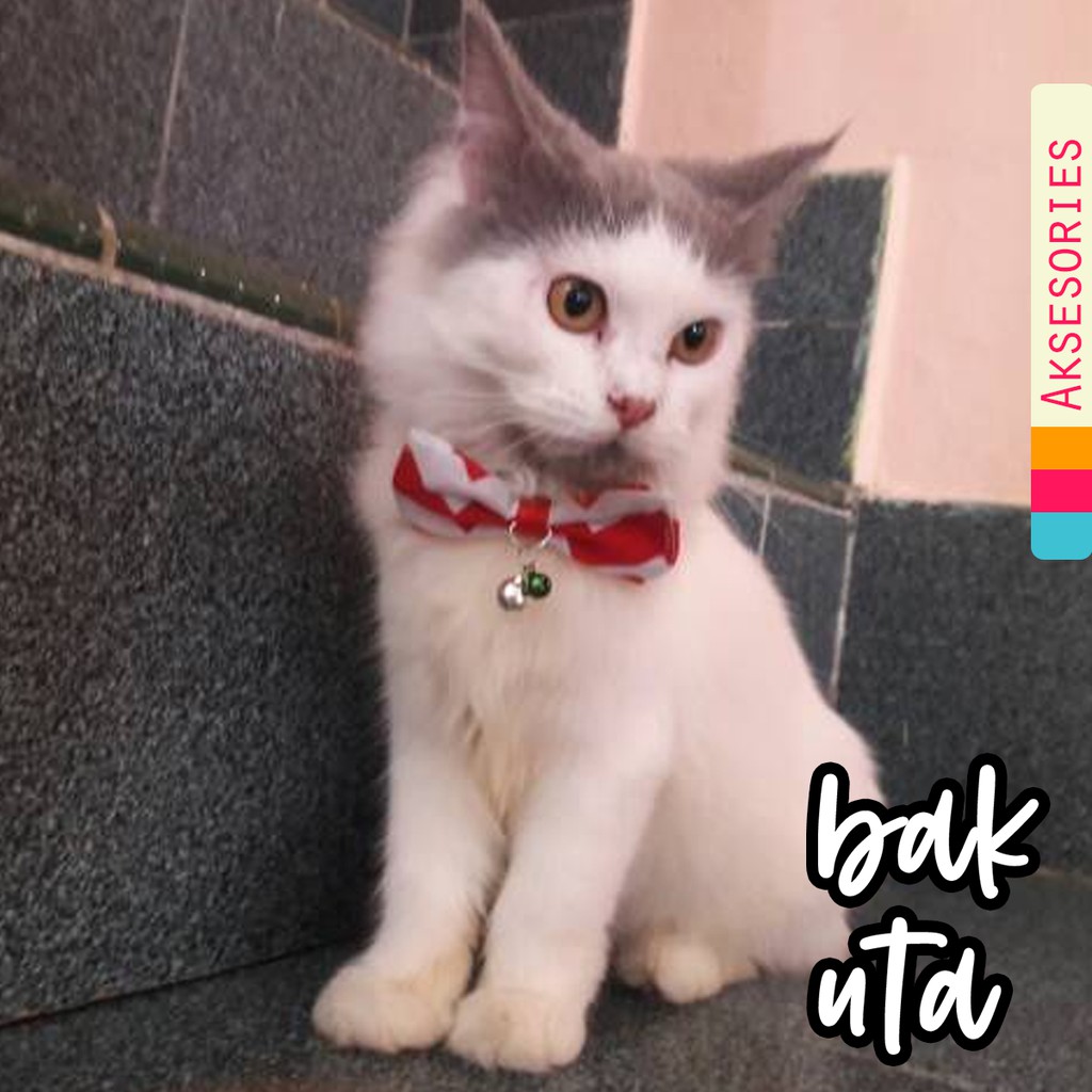 Dasi kucing lucu / bowtie / kalung dasi / aksesoris kucing / baju kucing