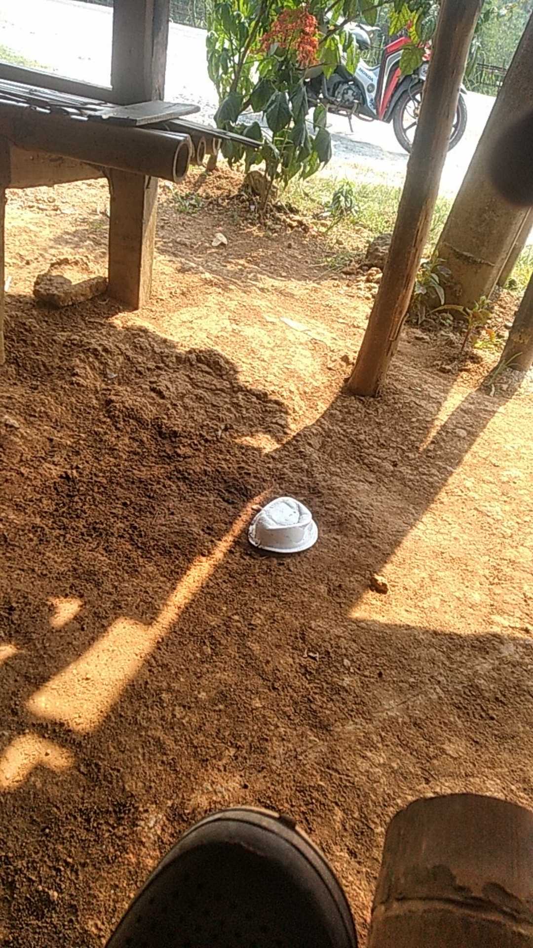 Sikat Penghilang Karat & Lumut Sikat Kawat Baja Keriting