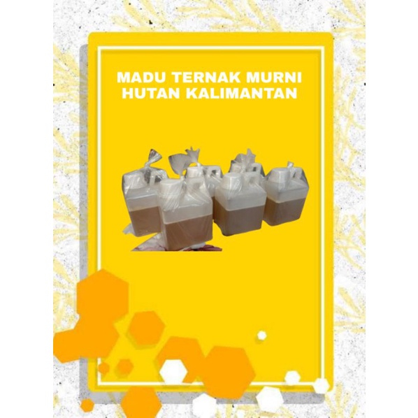 

Madu Ternak Murni Asli Hutan Kalimantan 400ML