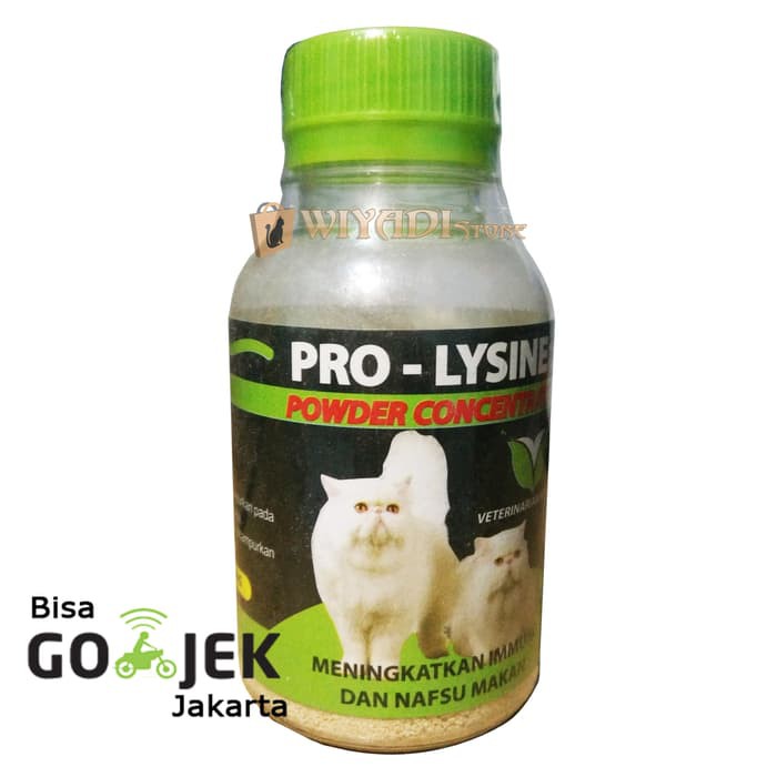 ProLysine 50gr Vitamin Meningkatkan Imun Dan Nafsu Makan Kucing Cat Kitten Anak Kuning