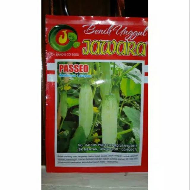 Benih bibit timun lalap PASSEO 10gram