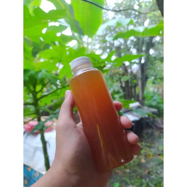 

Madu lebah hutan kalimantan