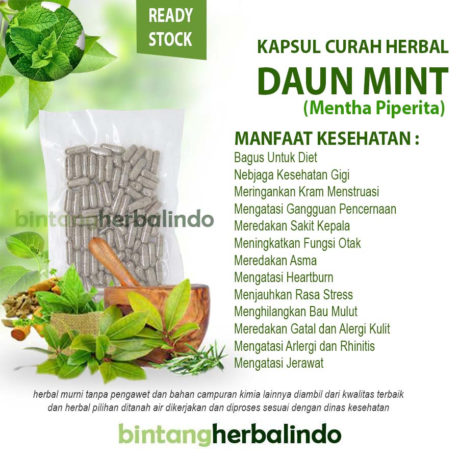 DAUN MINT 100 Kapsul Curah Herbal Diet Jerawat Fungsi Otak Stres Gigi