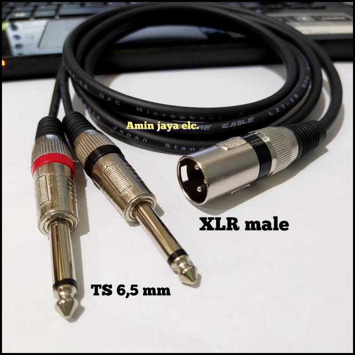 Jack Xlr Canon Male To 2 Akai