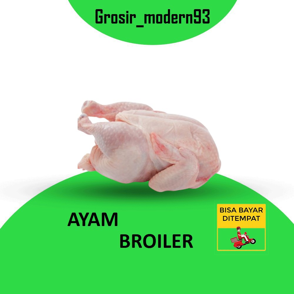 

Ayam broiler