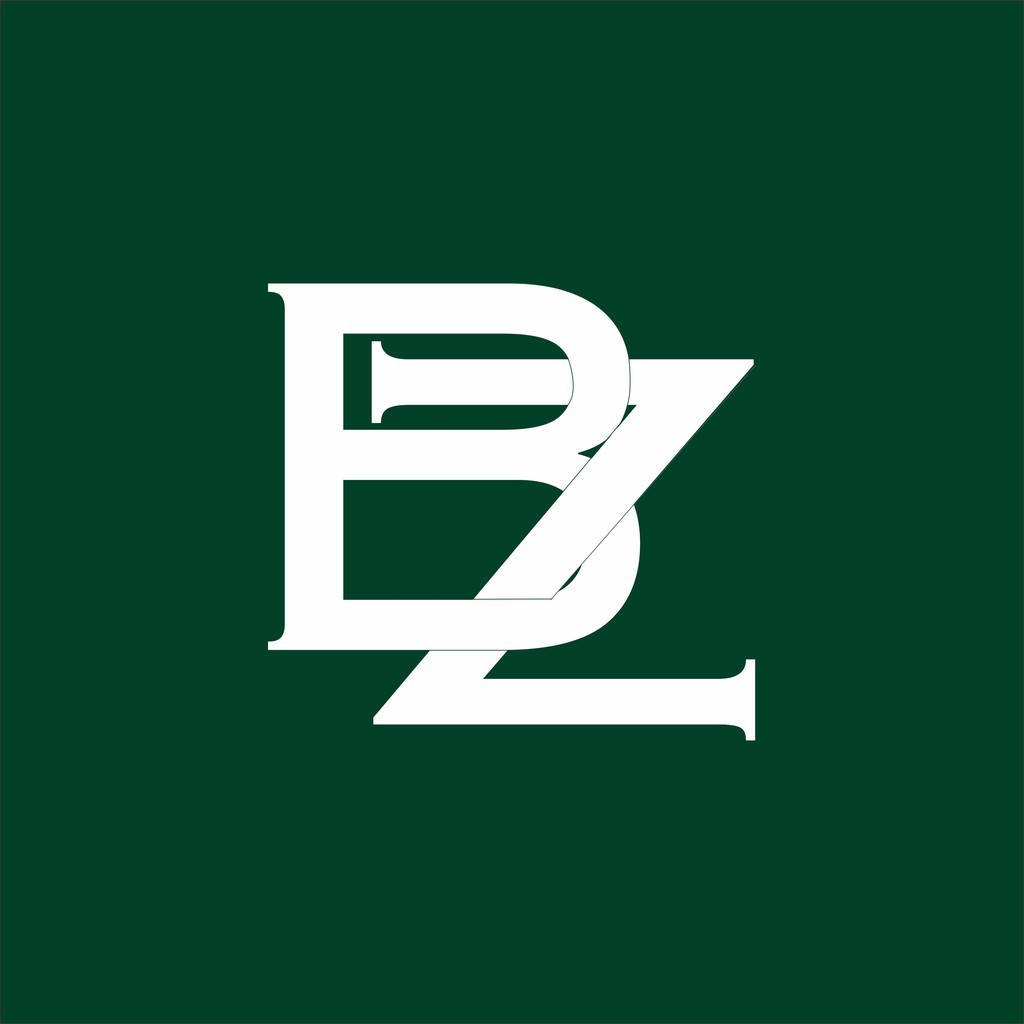 Bizzarpillow store logo