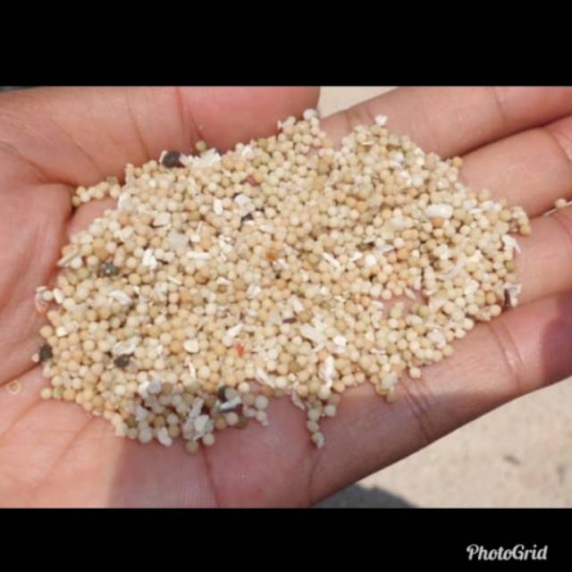 Pasir bali aquarium 500gr - Pasir hias aquarium - Pasir aquarium