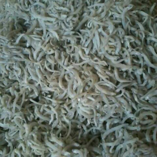 

Teri Nasi Asli