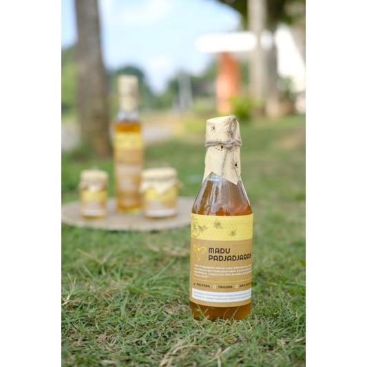 

Madu Melifera/lebah ternak 450 gram