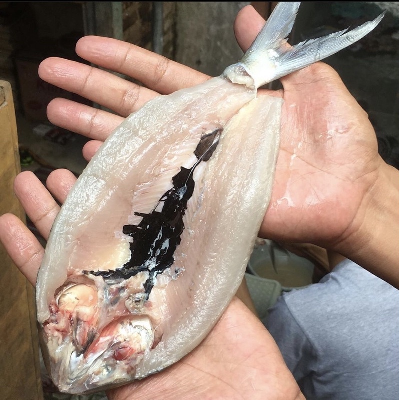 

Bandeng cabut duri asli juwana