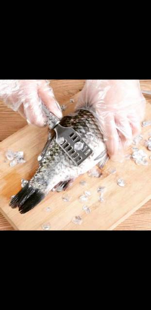 alat pembersih sisik ikan stainless steel fish scaller
