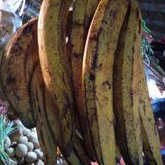 

Pisang Tanduk 1 Pcs
