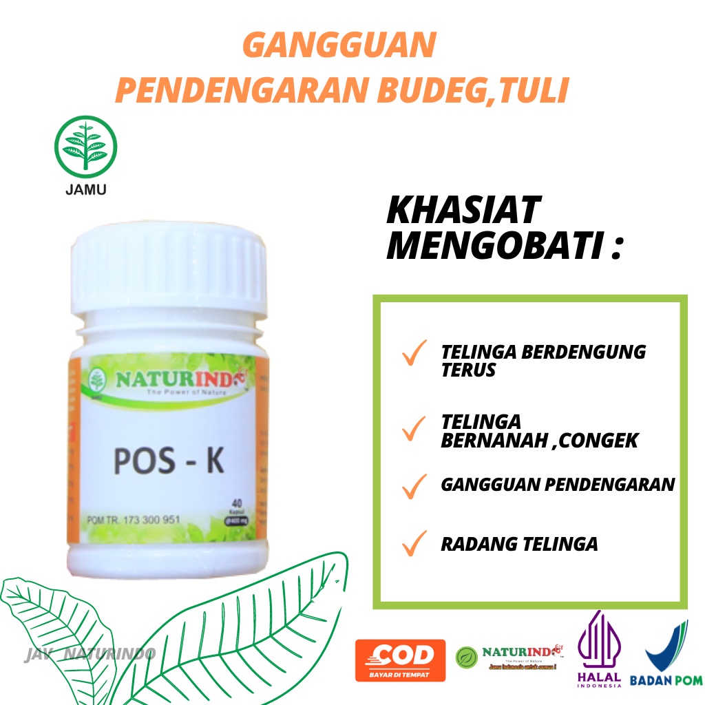 Obat Tuli Telinga Bernanah Gangguan Pendengaran Telinga Berair Kurang Pendengaran Herbal Ampuh