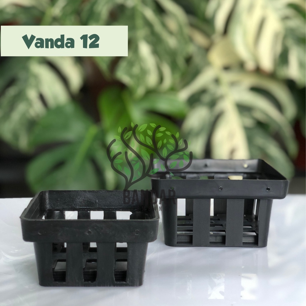Pot Bunga Hias Anggrek Murah - Pot Anggrek Vanda 12 Netpot Murah Warna Hitam - Pot Anggrek Vanda Kot