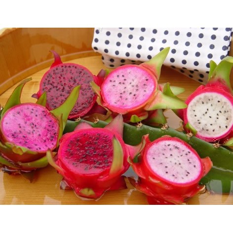 

biji benih buah naga mix /25 biji