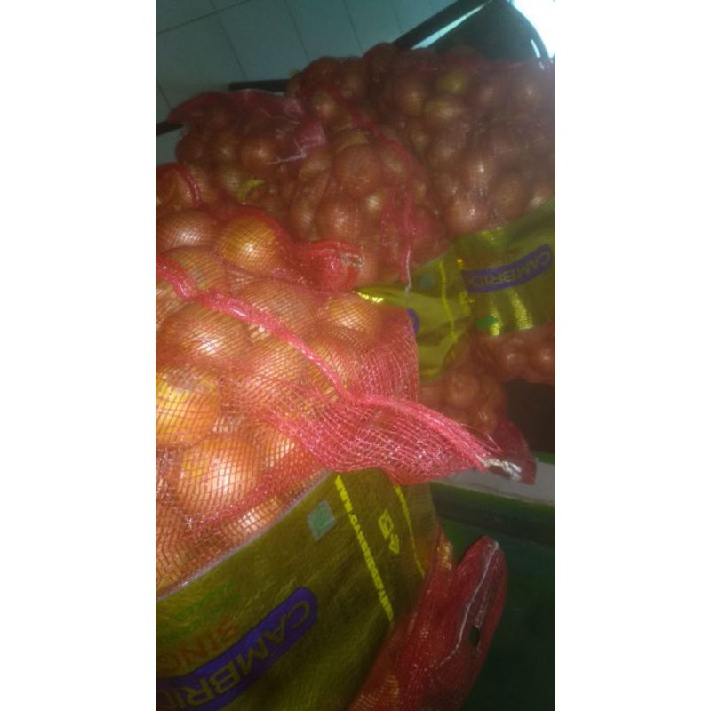 

Bawang bombay 1kg