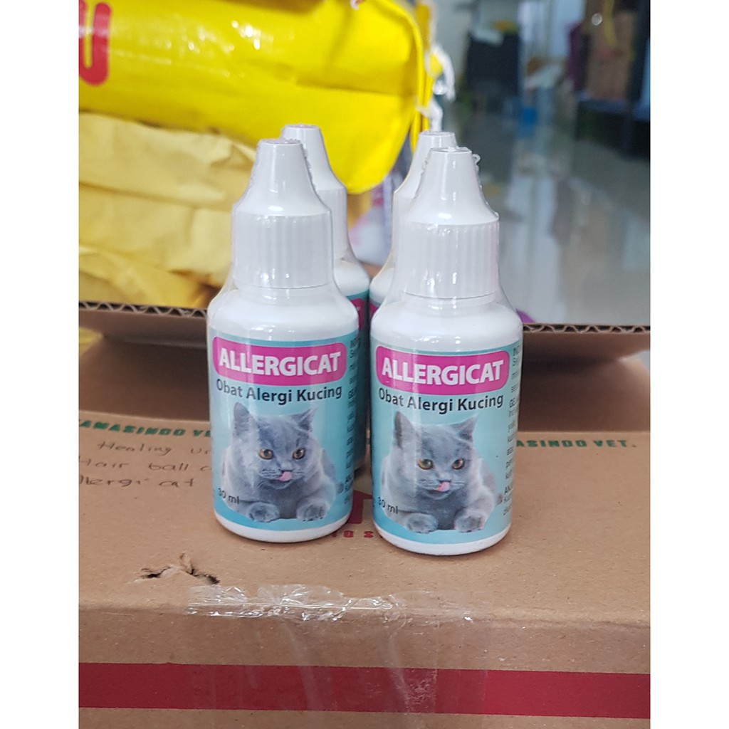 ALLERGI CAT Obat Kucing Gatal Kulit Radang karena allergi