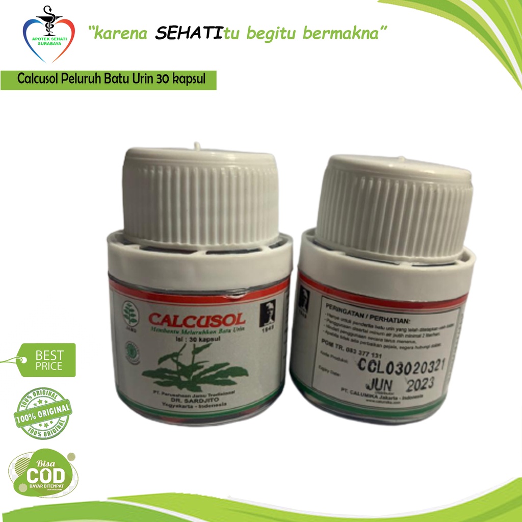 CALCUSOL 30 KAPSUL SUPLEMEN HERBAL BATU GINJAL (BATU URIN) SERTIFIKASI HALAL BPOM